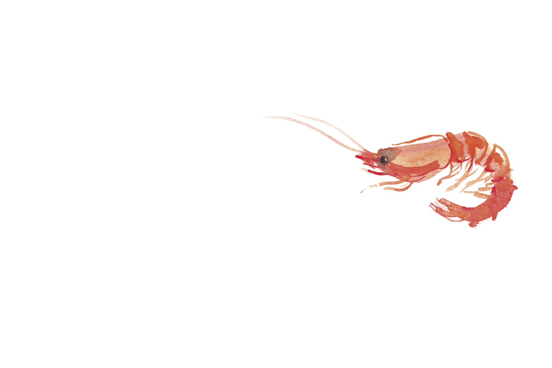 Ammaruni